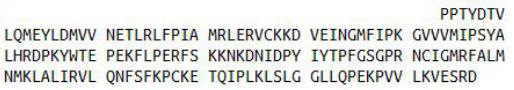 Recombinant Cytochrome P450 3A7 (CYP3A7), RPU41134