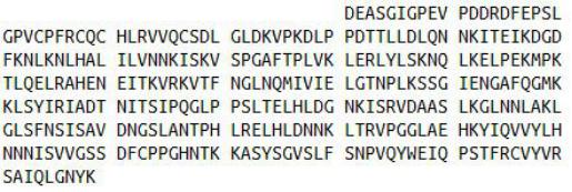 Recombinant Decorin (DCN), RPU41148