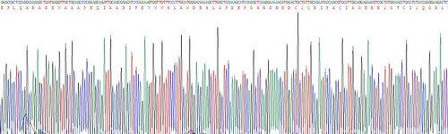 Recombinant Human Defensin Alpha 1, Neutrophil (DEFa1)