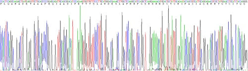 Recombinant Human Defensin Alpha 3, Neutrophil Specific (DEFa3)