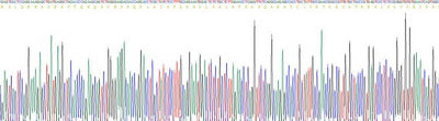Recombinant Human Defensin Alpha 5, Paneth Cell Specific (DEFa5)