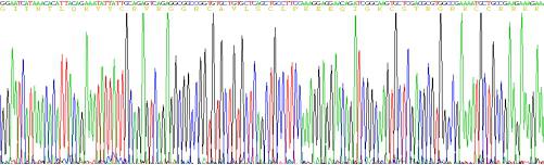 Recombinant Human Defensin Beta 103A (DEFb103A)