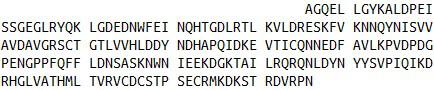Recombinant Desmocollin 1 (DSC1), RPU41175