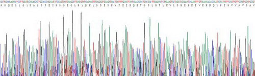Recombinant Human Desmocollin 1 (DSC1)