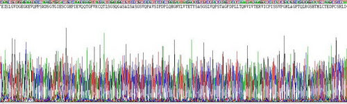 Recombinant Human Desmoglein 3 (DSG3)