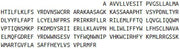Recombinant Diacylglycerol-O-Acyltransferase Homolog 1 (DGAT1), RPU41184