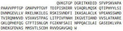Recombinant Dihydrolipoyl Transacetylase (DLAT), RPU41201
