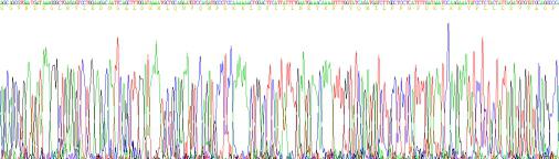 Recombinant Human Cluster Of Differentiation 26 (CD26)