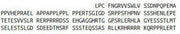 Recombinant Dishevelled, Dsh Homolog 2 (DVL2), RPU41211