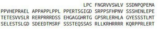 Recombinant Dishevelled, Dsh Homolog 2 (DVL2), RPU41211