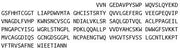 Recombinant Elastase 3B (ELA3B), RPU41247