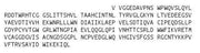 Recombinant Chymotrypsin C (CTRC), RPU41249