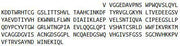 Recombinant Chymotrypsin C (CTRC), RPU41250