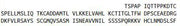 Recombinant Endoglin (ENG), RPU41258