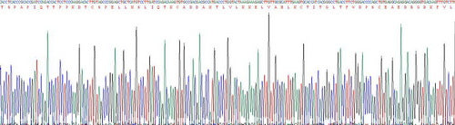 Recombinant Human Endoglin (ENG)