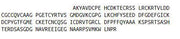 Recombinant Endothelial Cell Specific Molecule 1 (ESM1), RPU41267