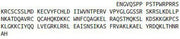 Recombinant Endothelin 1 (EDN1), RPU41270