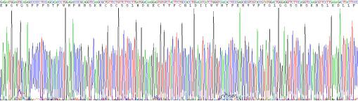 Recombinant Mouse Endothelin 1 (EDN1)