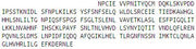 Recombinant Epstein Barr Virus Induced Protein 3 (EBI3), RPU41309