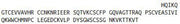 Recombinant Family With Sequence Similarity 19, Member A4 (FAM19A4), RPU41342