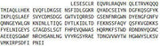 Recombinant Fibrinogen Like Protein 1 (FGL1), RPU41424