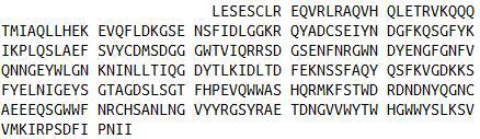 Recombinant Fibrinogen Like Protein 1 (FGL1), RPU41424