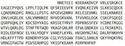 Recombinant Fibrinogen Like Protein 2 (FGL2), RPU41428