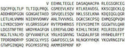 Recombinant Fibrinogen Like Protein 2 (FGL2), RPU41429