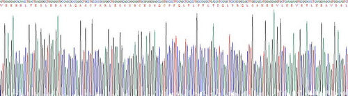Recombinant Mouse Fibrinogen Like Protein 2 (FGL2)
