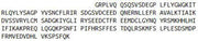 Recombinant Fibroblast Growth Factor 15 (FGF15), RPU41439