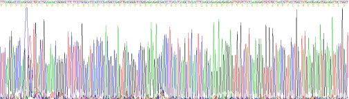 Recombinant Human Fibroblast Growth Factor 2, Basic (FGF2)