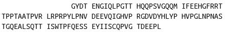 Recombinant Fibronectin (FN), RPU41461