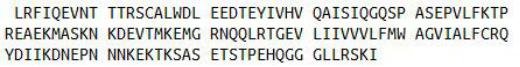 Recombinant Fibronectin Type III Domain Containing Protein 5 (FNDC5), RPU41466