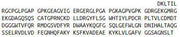 Recombinant Ficolin 1 (FCN1), RPU41490
