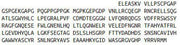 Recombinant Ficolin 3 (FCN3), RPU41493
