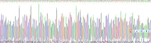 Recombinant Human Filaggrin (FLG)
