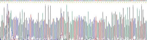 Recombinant Human FK506 Binding Protein 1A (FKBP1A)