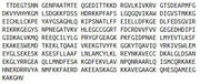 Recombinant FK506 Binding Protein 5 (FKBP5), RPU41509