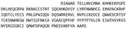 Recombinant Folate Receptor 1, Adult (FOLR1), RPU41514