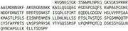 Recombinant Forkhead Box Protein O1 (FOXO1), RPU41524