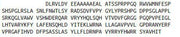 Recombinant Cluster Of Differentiation 15 (CD15), RPU41532