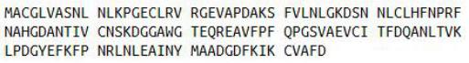 Recombinant Galectin 1 (GAL1), RPU41557