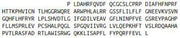 Recombinant Galectin 12 (GAL12), RPU41560