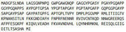 Recombinant Galectin 3 (GAL3), RPU41565