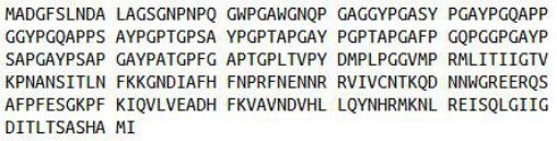 Recombinant Galectin 3 (GAL3), RPU41565