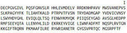 Recombinant Glucuronidase Beta (GUSb), RPU41636