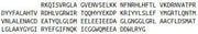 Recombinant Glycogen Phosphorylase, Muscle (PYGM), RPU41700
