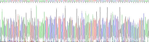 Recombinant Mouse Glycogen Phosphorylase, Muscle (PYGM)