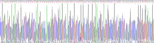 Recombinant Human Glypican 1 (GPC1)