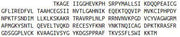 Recombinant Granzyme B (GZMB), RPU41733